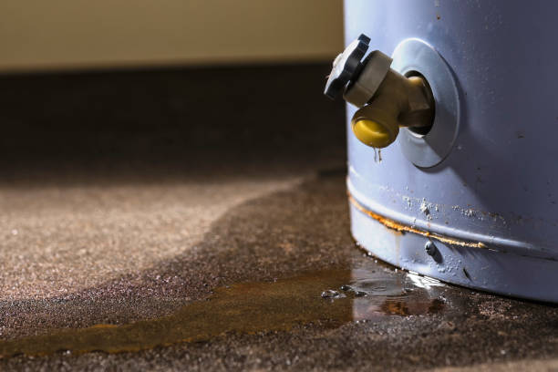 Best Local water damage restoration  in Monessen, PA
