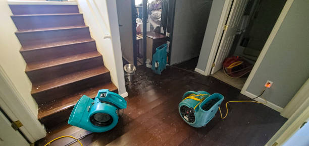 Best Mold removal after water damage  in Monessen, PA