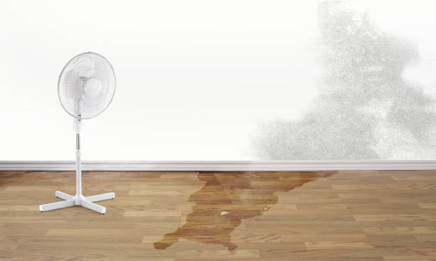 Best Ceiling water damage repair  in Monessen, PA
