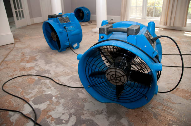 Best Emergency water damage restoration  in Monessen, PA
