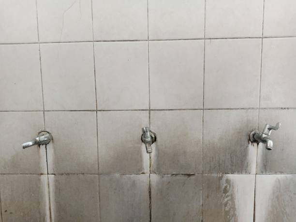 Best Carpet water damage restoration  in Monessen, PA