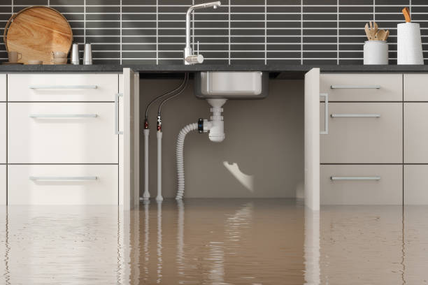 Best Water damage restoration near me  in Monessen, PA
