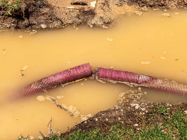Best Water damage restoration near me  in Monessen, PA